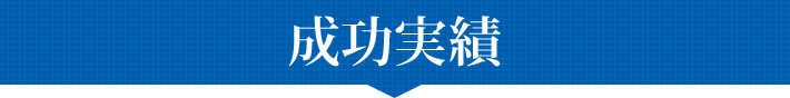 実績